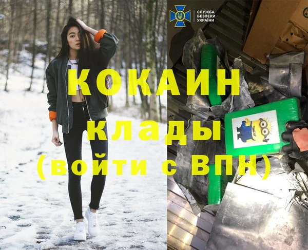 винт Верея