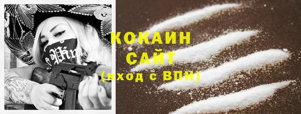 винт Верея