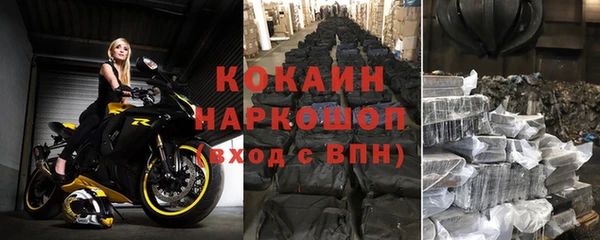 винт Верея