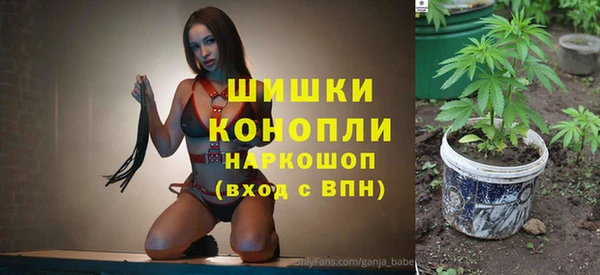 винт Верея