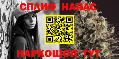 apvp Кинель