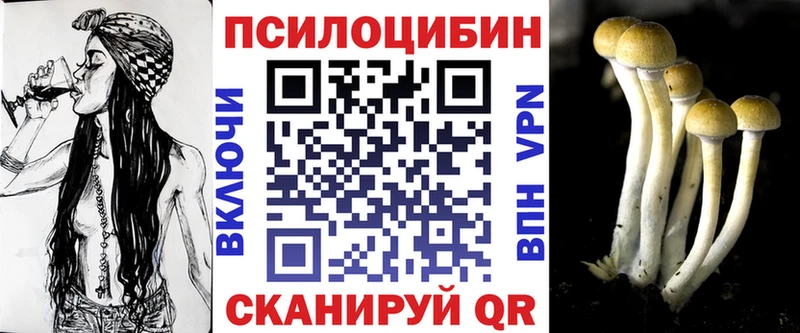 дарнет шоп  Черкесск  Галлюциногенные грибы Psilocybe 