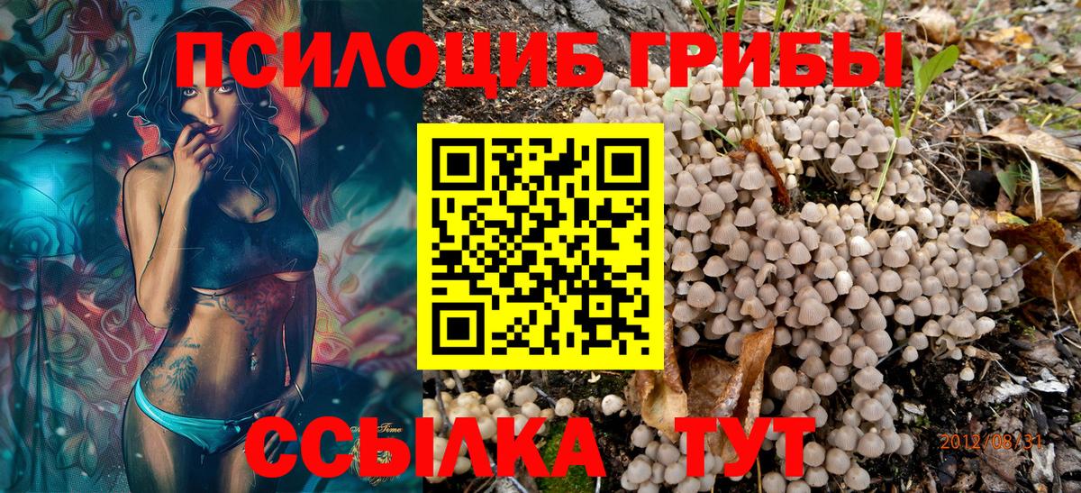 цены наркотик  Галлюциногенные грибы ЛСД  Вход с VPN  Черкесск 